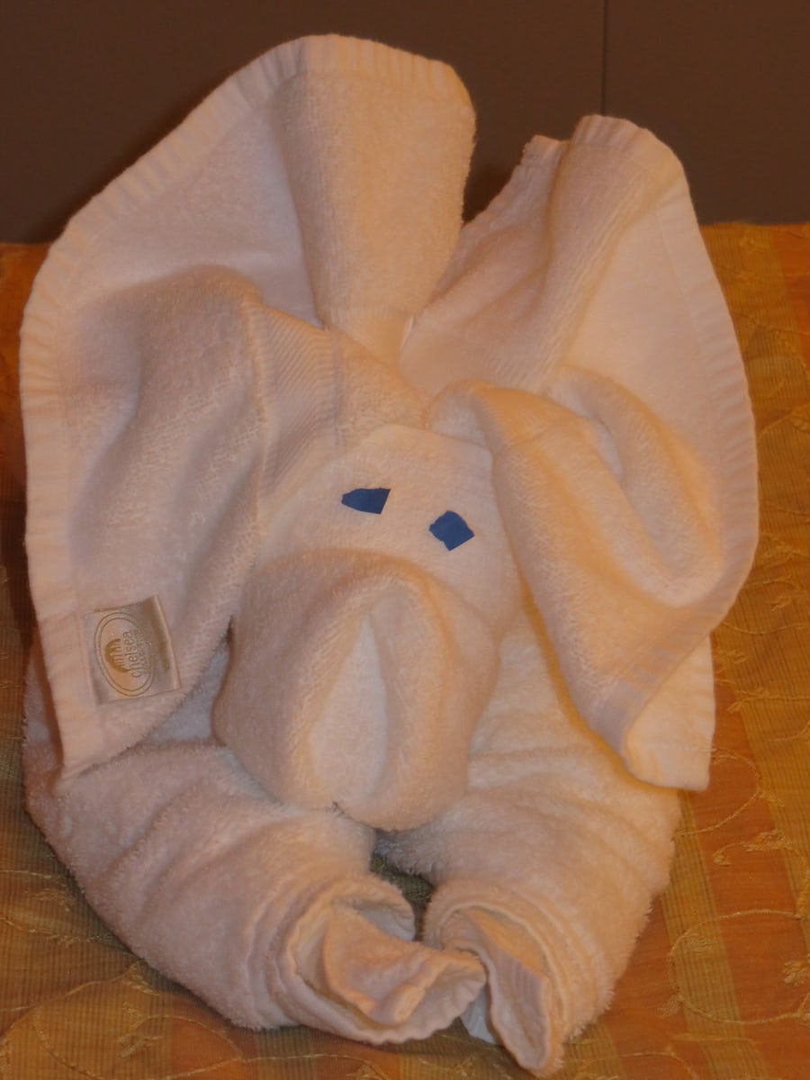 One of the towel animals