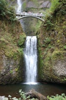 Multnomah Falls - - one of the shore excursions