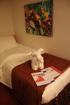 Evening turn down service includes towel animals & activity schedul