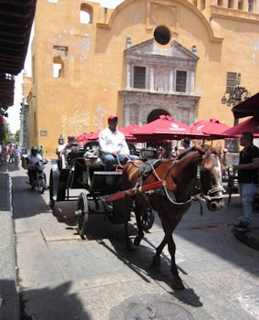Horse Carriage at Cartagena
