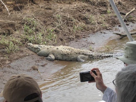 Crocodile Tour at Puntarenas