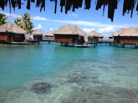 Rental Condos Bora Bora