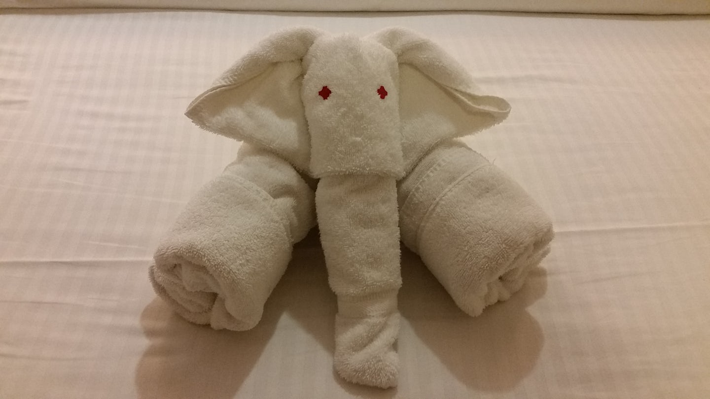Nightly towel animal