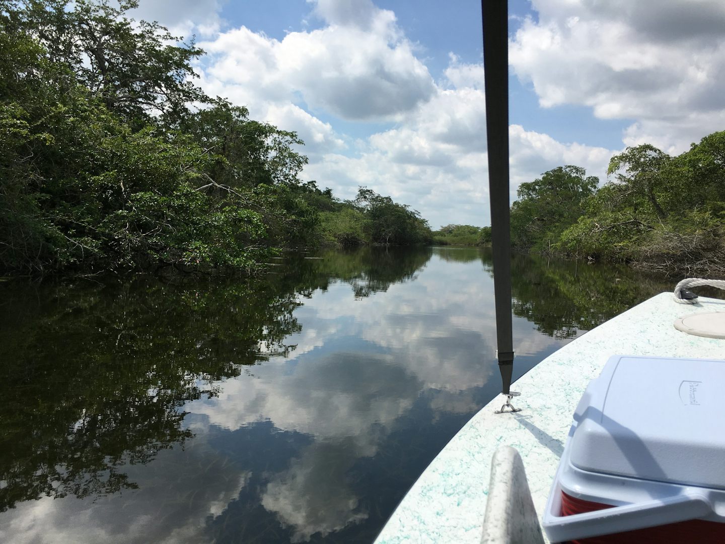 Boat Ride to Lamanai (Belize)