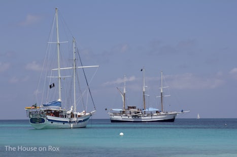 The Diamant & Sagitta from the Tobago Cays Marine Park