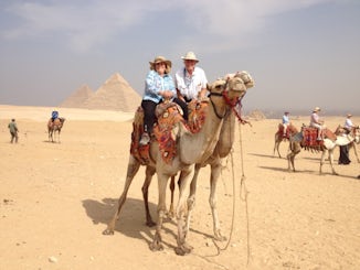 Camel ride around the Pyramids
