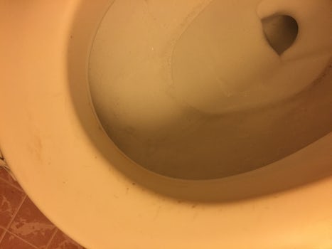 Nice new clean toilet