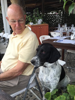 Lunch on Santorini with the nieghborhood dog