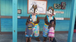 KaZa Favourite Chip and Dale