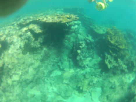 Snorkeling in Dominican Republic