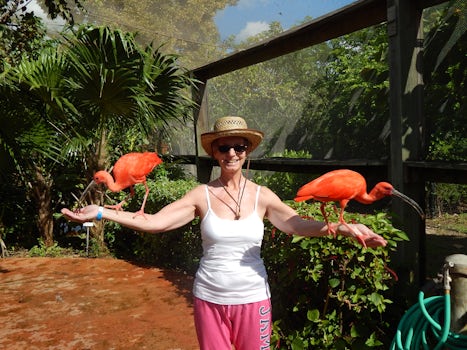 My wife in the Aviary at Turtle Farm