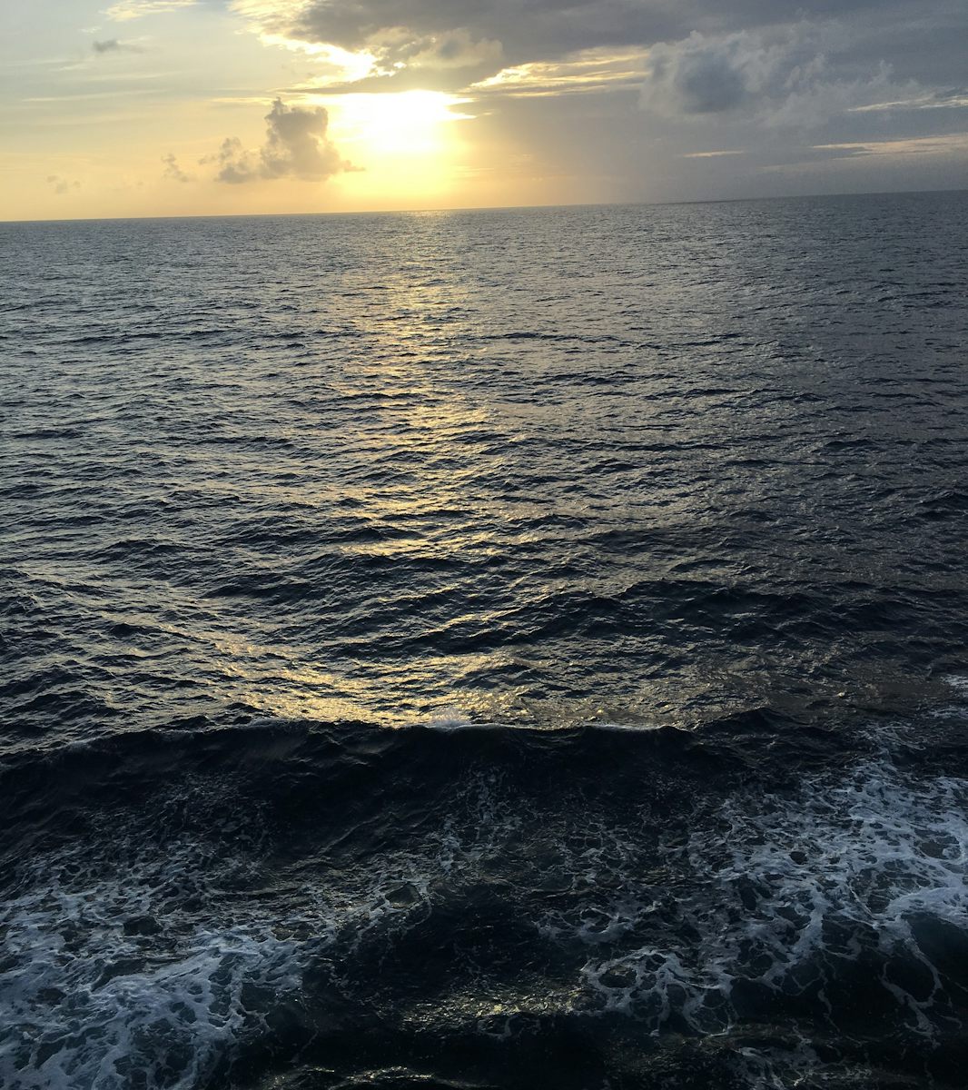 View from the cruise