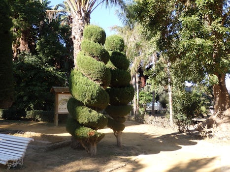 In the botanical garden at Cadiz   (Park Genoves)