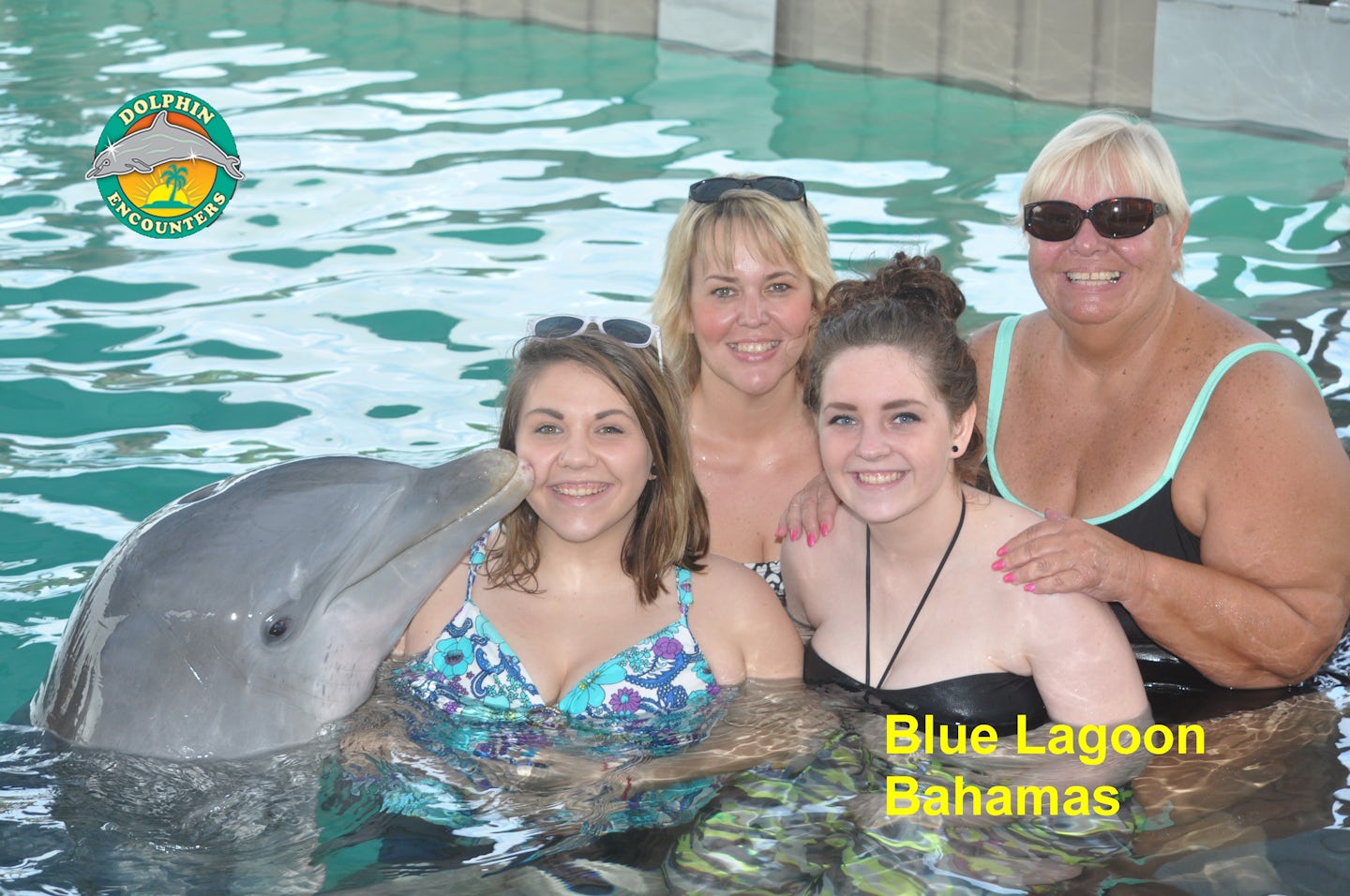 Blue Lagoon Dolphin Encounter in Nassau