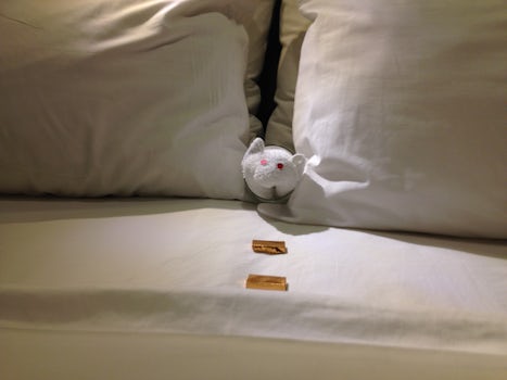 Little towel mouse
