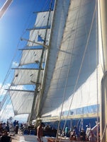 sails up