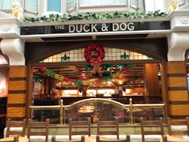 Great Pub  The Duck & Dog