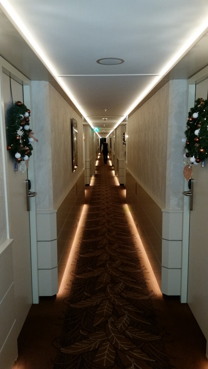 Decorated Hallway on our ship