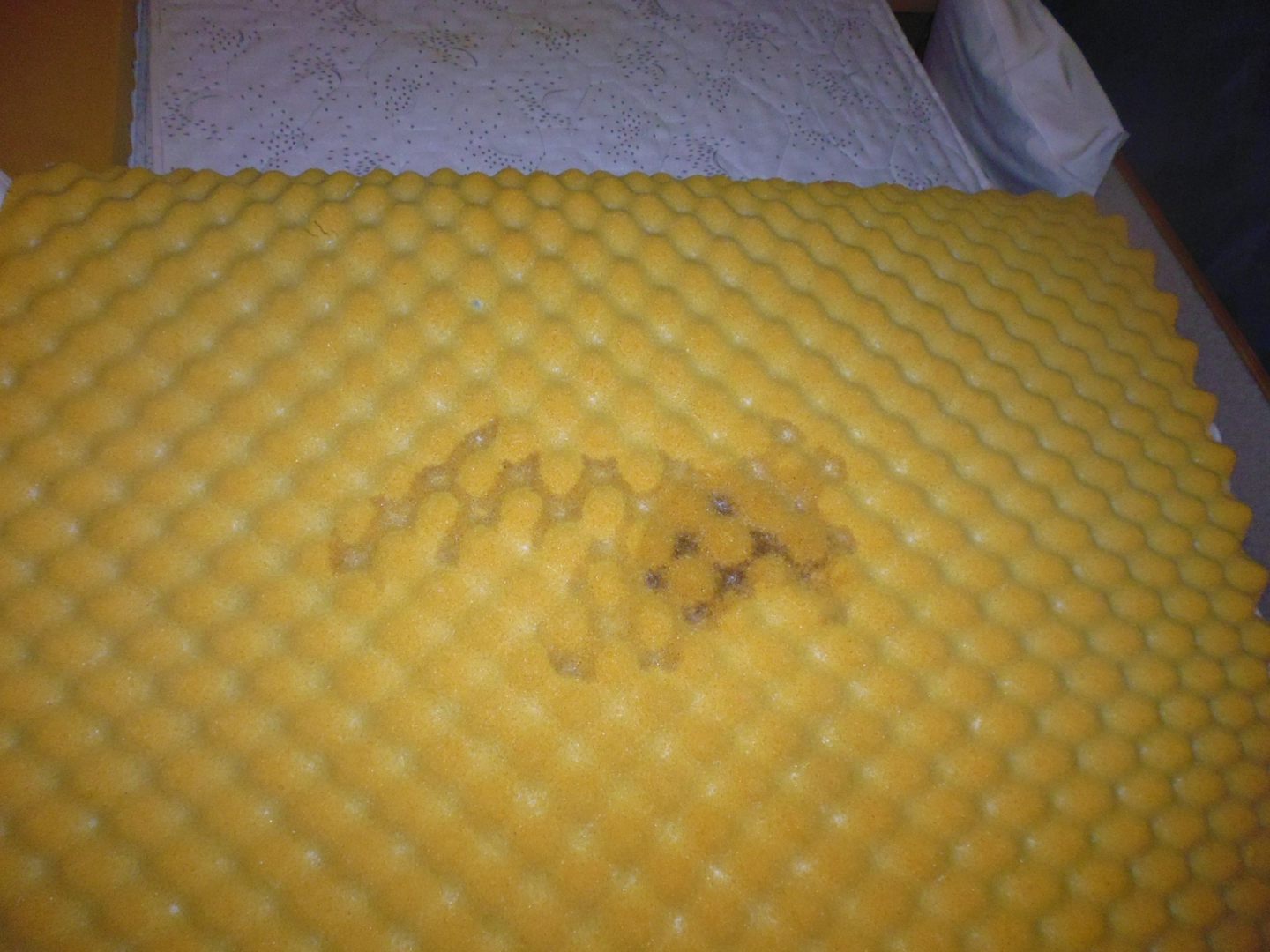 stain on foam mattress which was the cause of the offensive smell in the room