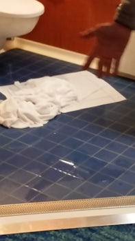Bathroom floor after 1 person took a shower. Now imagine after 3 people too
