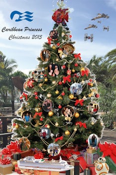 Our Christmas Cruise Collage.