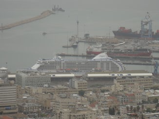 Haifa Dock