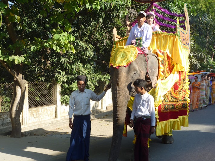 Elephant at novice monks procession