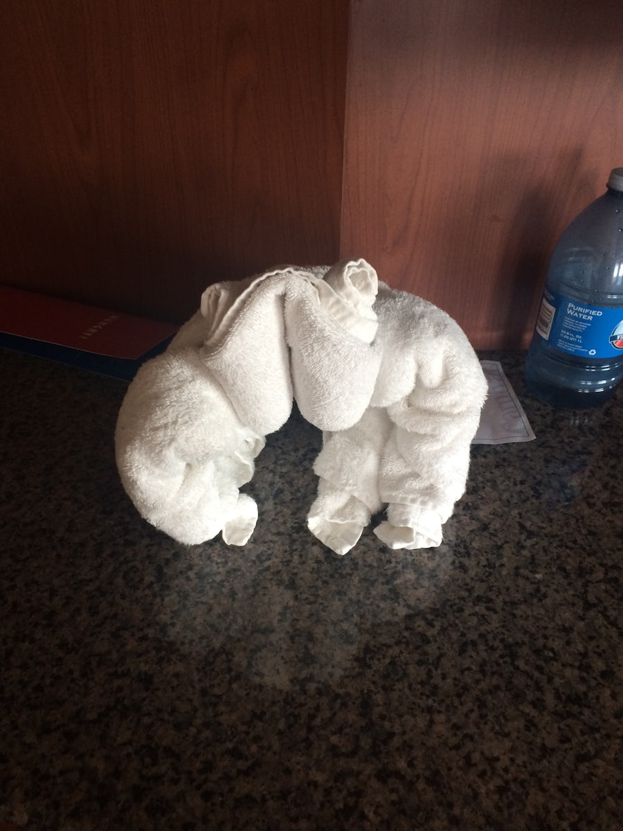 Cabin Steward made some of the towel animals.