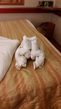 1st Night of the Cruise ... Frog towel animal