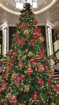 A very beautiful Christmas tree