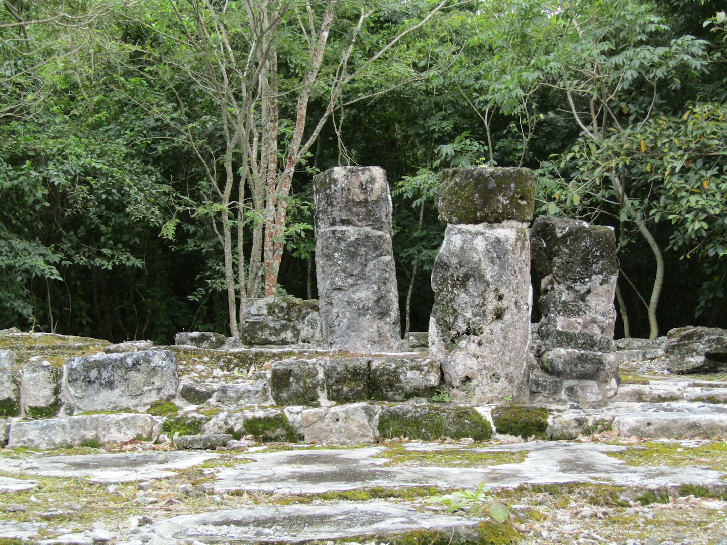 A picture of the Ruins we visited in Cozumel.  We went to the ruins of San Gervasio