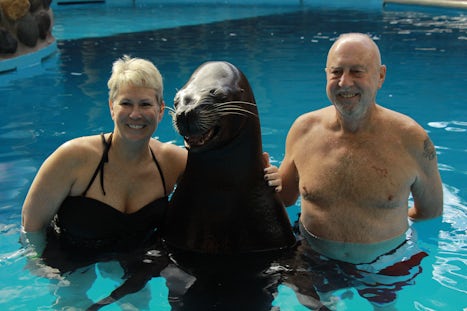 Swimming with a sea lion