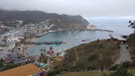 The view above Catalina. Rather than spending money on one of the excursions, we rented a golf cart on the island ($40 for a 4 seat, $60 for a 6 seat cart) and toured the island and the views. Beautiful way to see a large portion of the island and still allow time for shopping, drinks and eating.