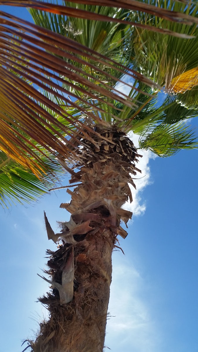 Curacao, Cabana beach