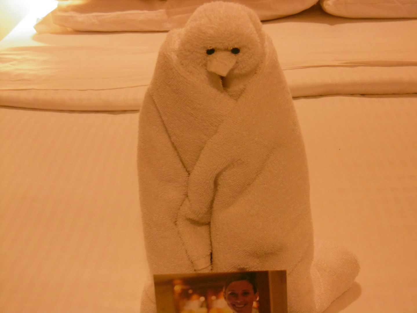 Towel art - I think it is a penguin