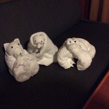 Towel animals, our granddaughters loved it.