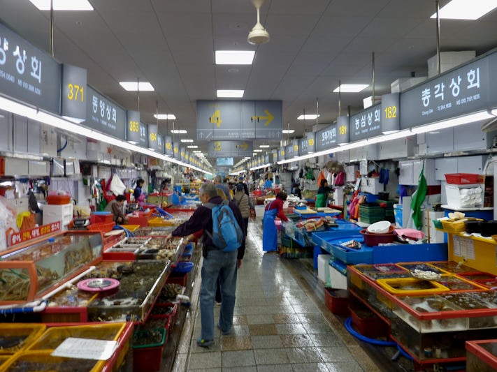 Busan Fish market