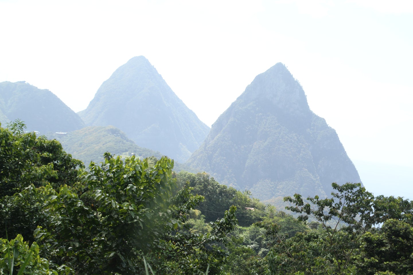 Pitons on st Lucia