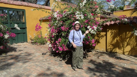 me & my favourite flowers at the Bolivar House/Botanical Garden
in Santa M