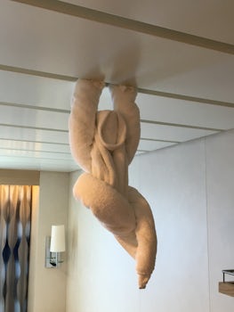 Monkey hanging in our cabin- made by our cabin steward