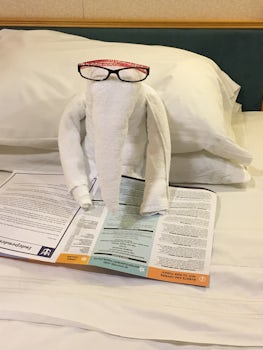 One of our many towel animals