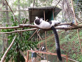 Lemur park