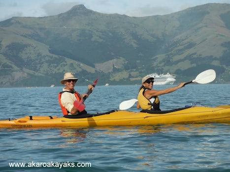 Kayaking the bays of Akaroa