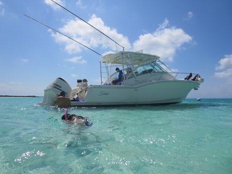 Private boat tour(through Deluxe boat tours) in El Cielo Cozumel
