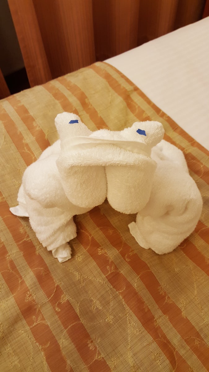 Our steward left us towel animals every night.