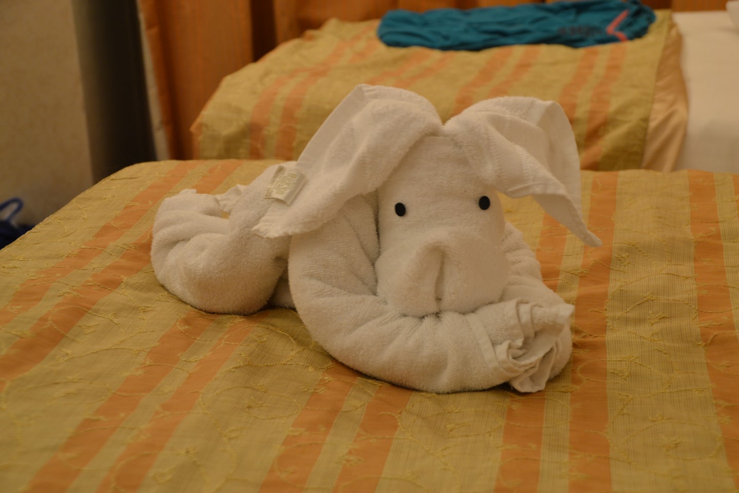 What a cutie - Towel animal fun