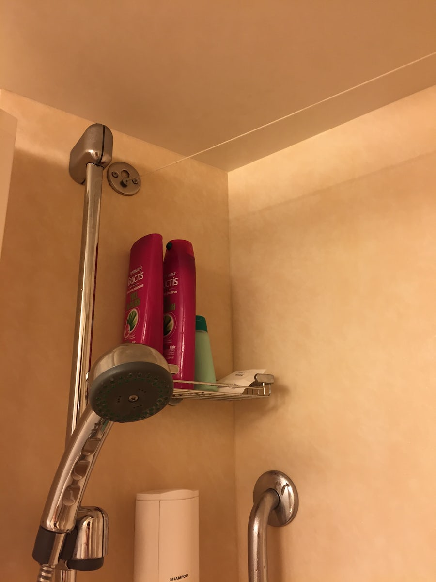 This is the clothes line in the shower.  The shower head is also adjustable