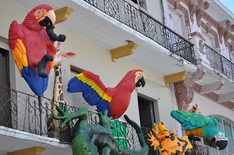 Old part of Cartagena was really colorful with a bit of odd art like these parrots.