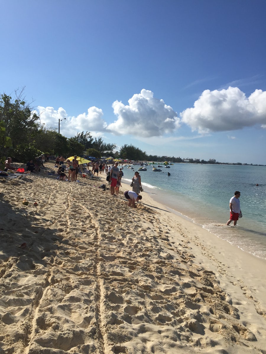 Seven Mile Beach, Grand Cayman--Sea Grape Public Beach