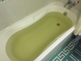 Our green bathwater.